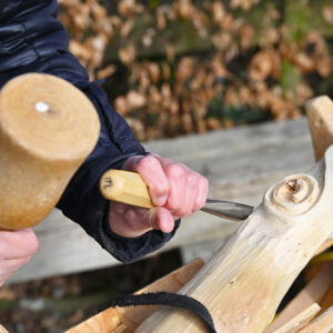 Beeldhouwen in hout februari 2026