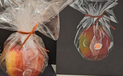 Plastic folie schilderen?